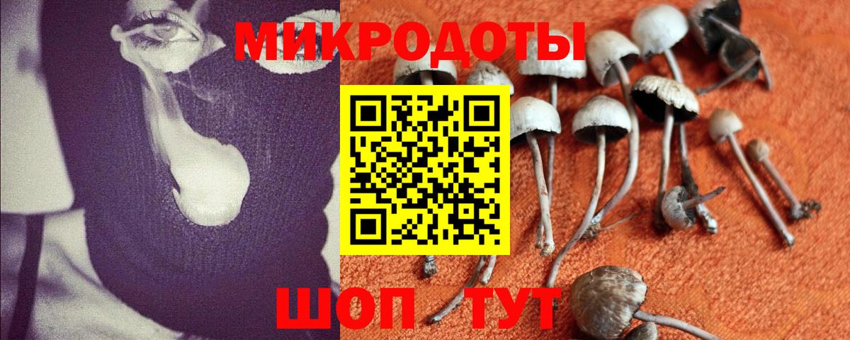 Галлюциногенные грибы Cubensis  Вход с VPN  где продают   Псилоцибиновые грибы мицелий  Добрянка 